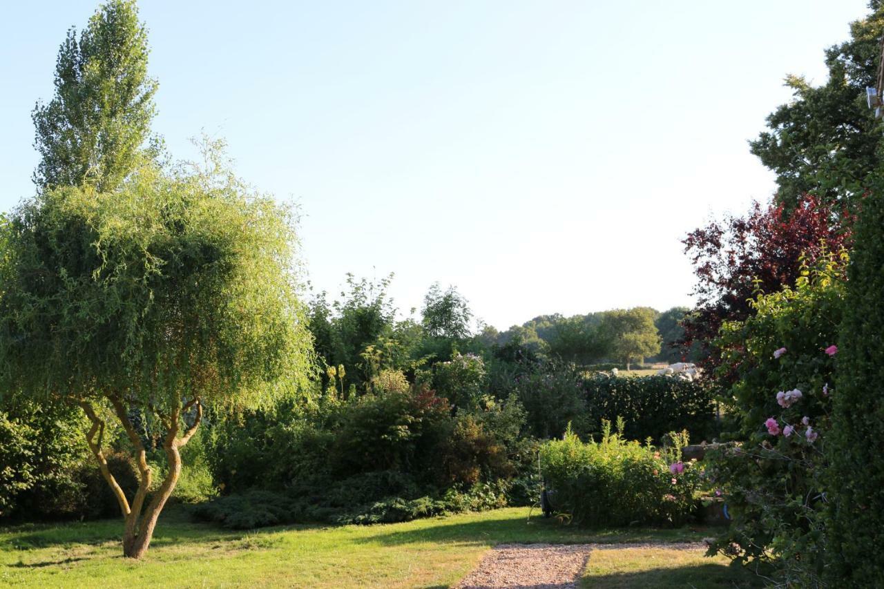 Bed and Breakfast Le Bourgis La Chapelle-Montligeon Екстер'єр фото